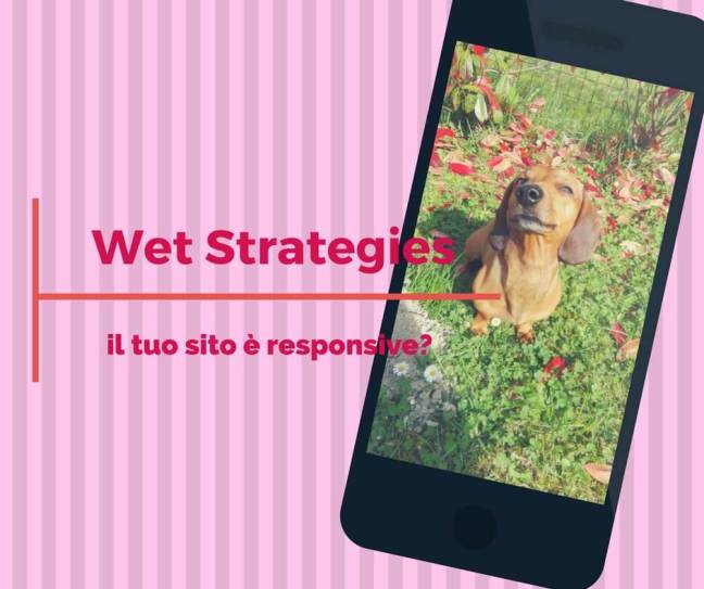 Wet Strategies(1) sito responsive